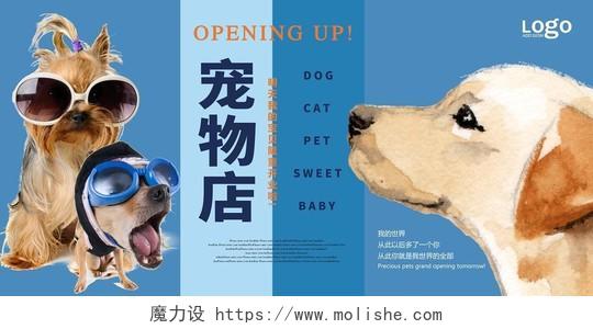 动物宠物店卡通手绘蓝色展板